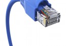 Blue network cable - closeup view