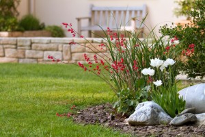 Votre jardinier à domicile dès 7,80 € par heure, le prix le moins cher de France :D)